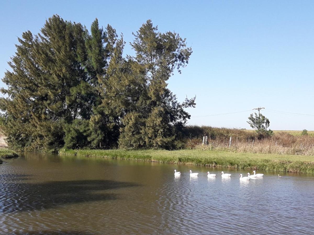 Puesto Totoras Campsite San Antonio de Areco