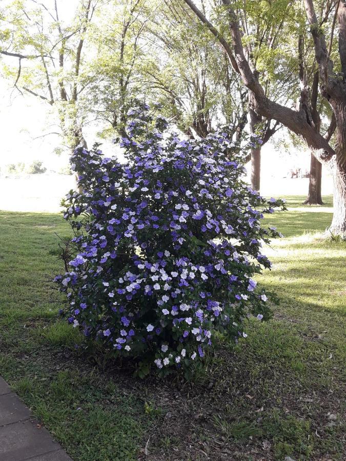 Puesto Totoras * San Antonio de Areco