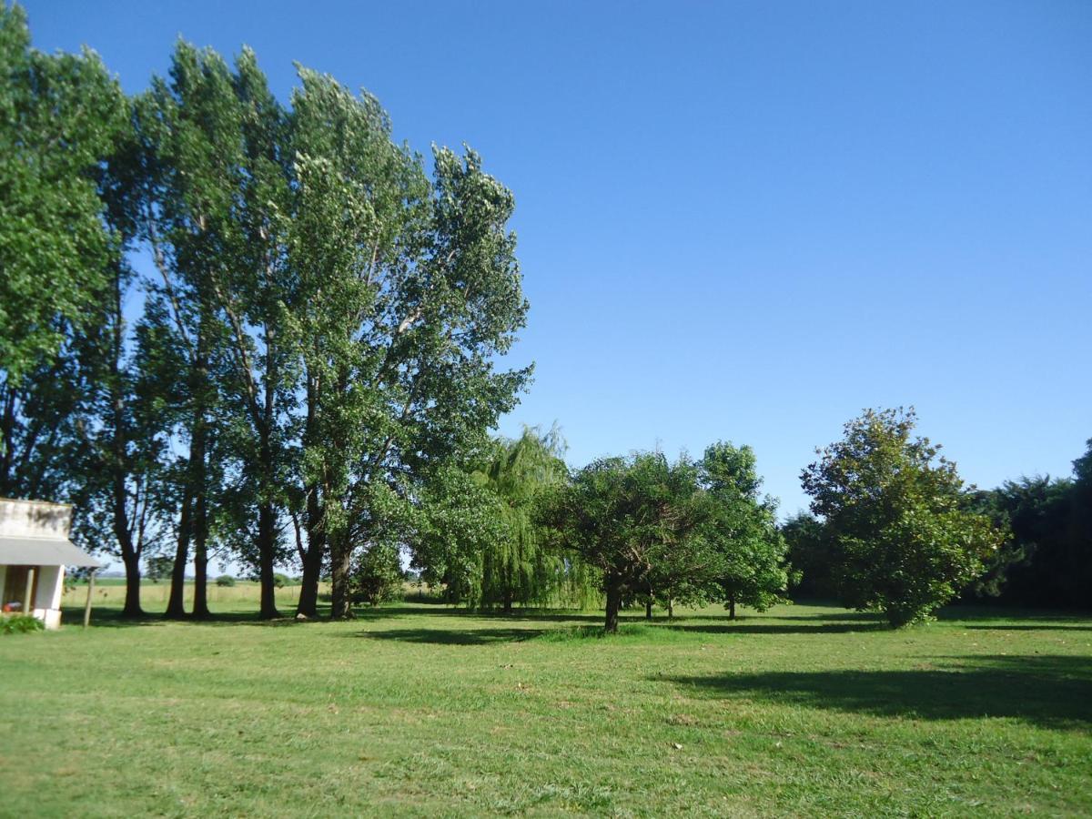 Puesto Totoras * San Antonio de Areco